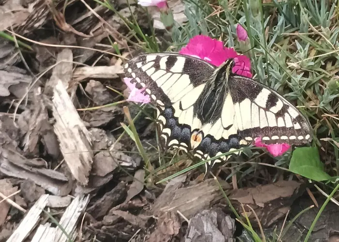 Jura Goscinne Penzion